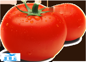 肥胖的家庭治疗