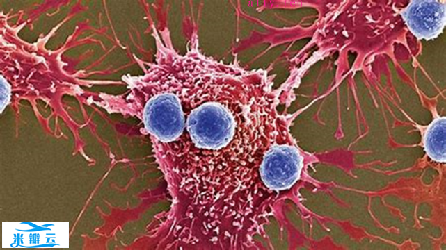 14万中国人研究：LDL-C低于1.8mmol/L，癌症风险增加42％
