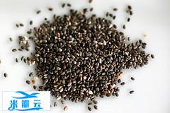 iHerb必买推荐-植物来源蛋白质