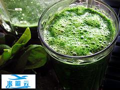 iHerb必买推荐-植物来源蛋白质