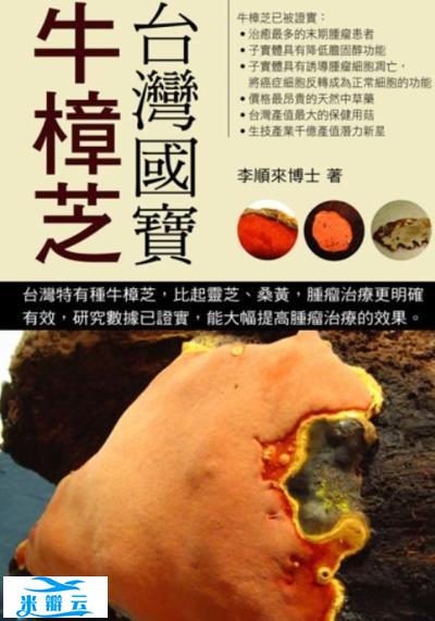 使用牛樟芝的4大疑问（子实体或菌丝体较有效？）