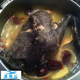 黄芪炖乌鸡——补虚补气补血