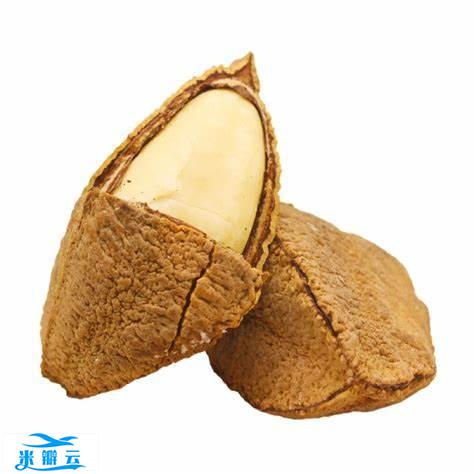 鲍鱼果可以经常吃吗 鲍鱼果每天适合吃多少个