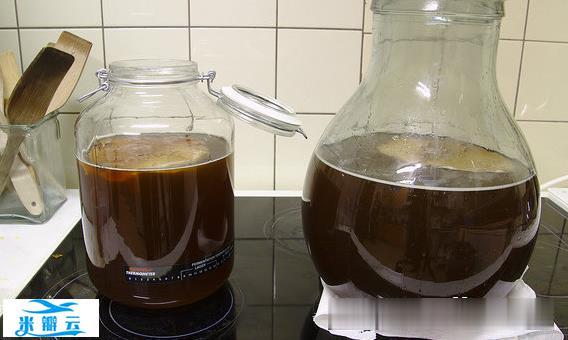 康普茶的功效与作用_康普茶什么人不能喝