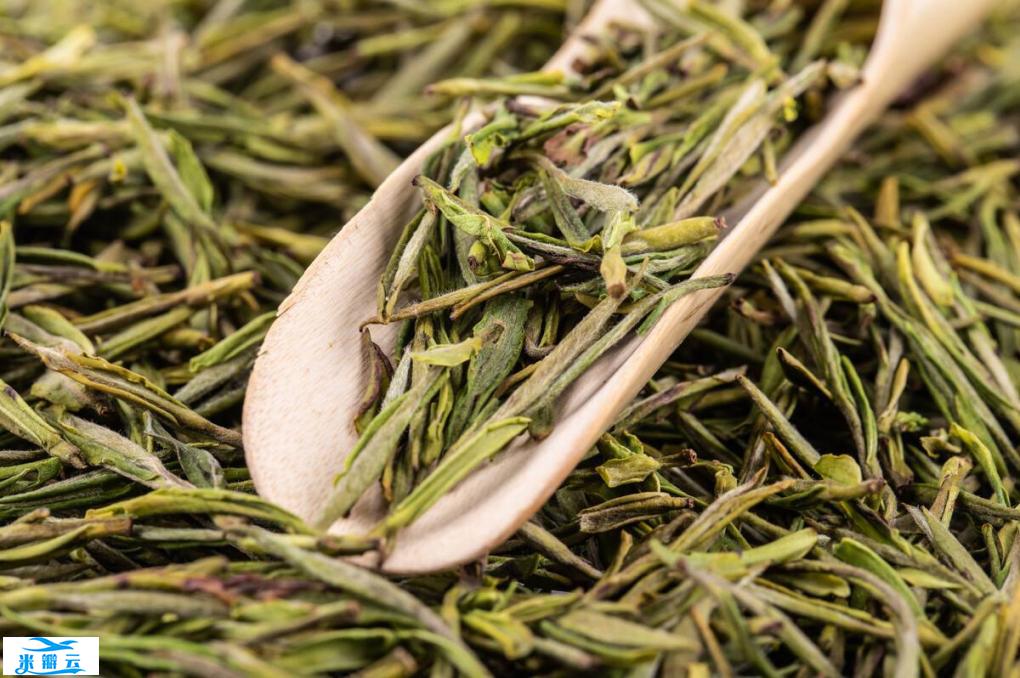 长沙品茶喝茶外卖推荐长沙品茶去哪里靠谱