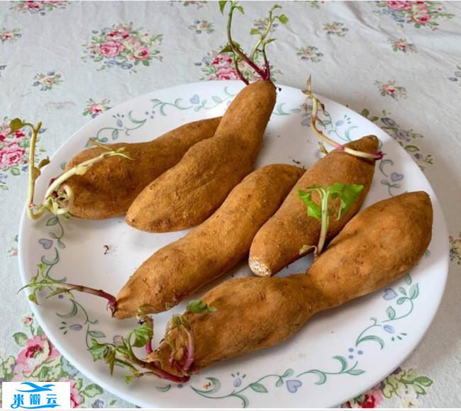 今立春正能量最强准备这一物就能轻松求财
