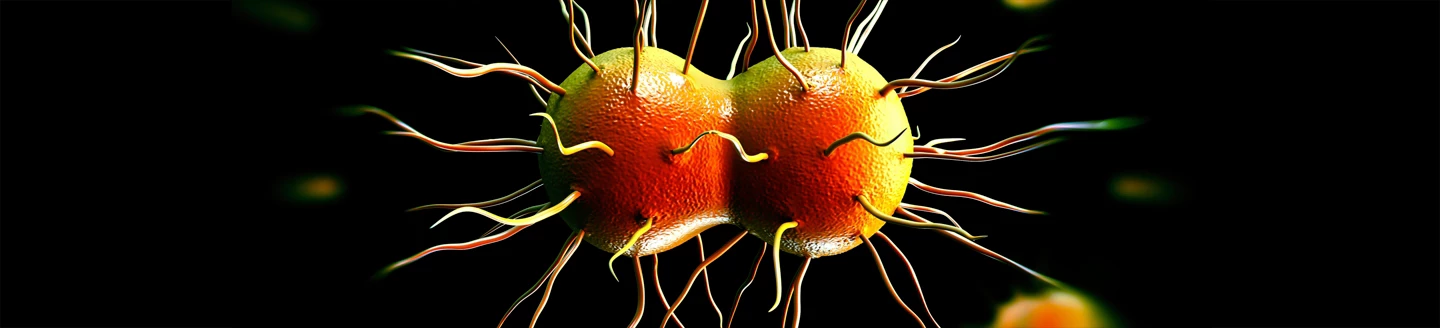 淋病奈瑟菌Neisseria gonorrhoeae (NG)