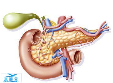 肺癌、肝癌、胃癌、大肠癌、乳腺癌、甲状腺癌等14种恶性肿瘤筛查与预防指南！-第13张图片