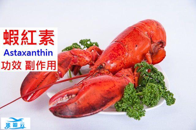 虾红素的16种功效及副作用（9点使用禁忌要小心）