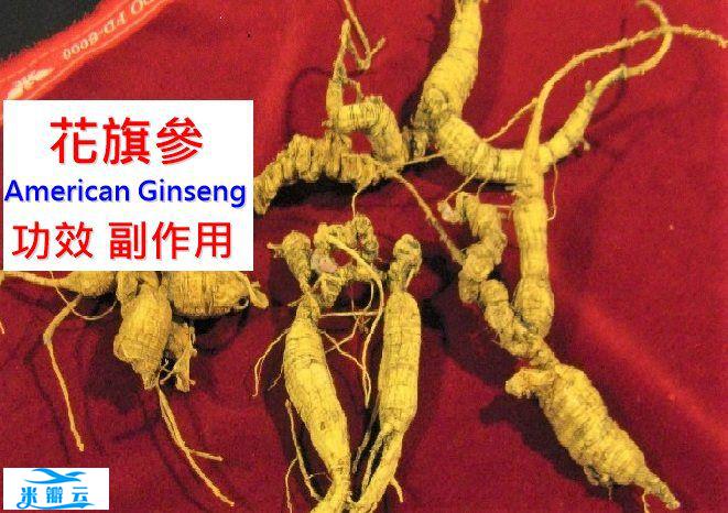 花旗参的7种功效及副作用（8点使用禁忌要小心）