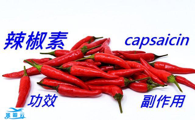 辣椒素的5种功效与副作用（8点使用禁忌要小心）