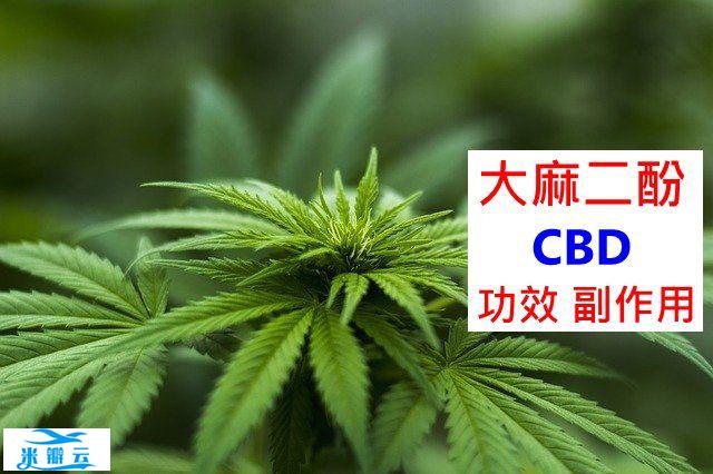 CBD（大麻二酚）的5种功效及副作用（8点使用禁忌请留意）