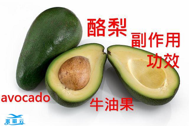 酪梨的5种功效及副作用（4点食用禁忌要小心）