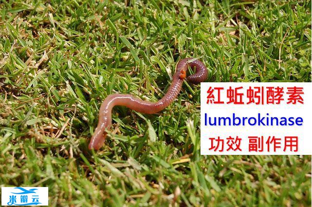 红蚯蚓酵素的3种功效及副作用（2点使用禁忌要小心）