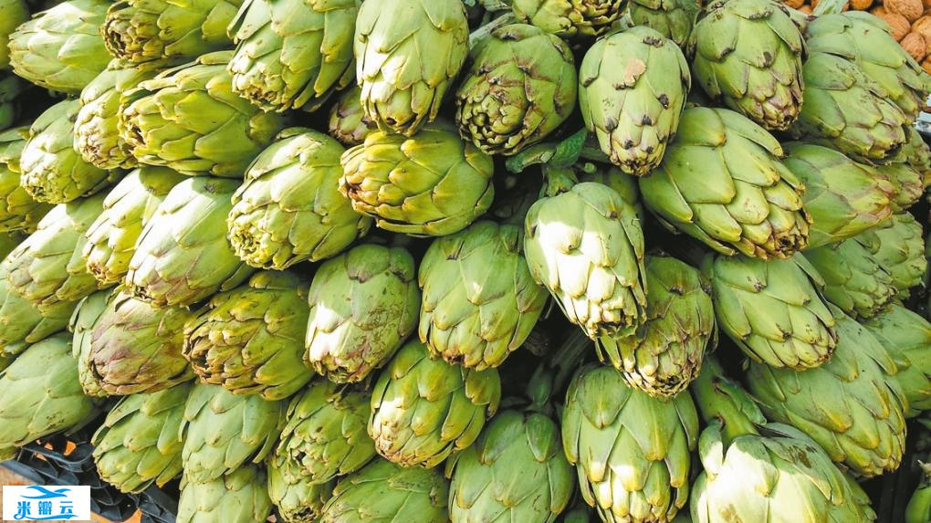 2023超级食物出炉！ 众人热爱的这2物上榜