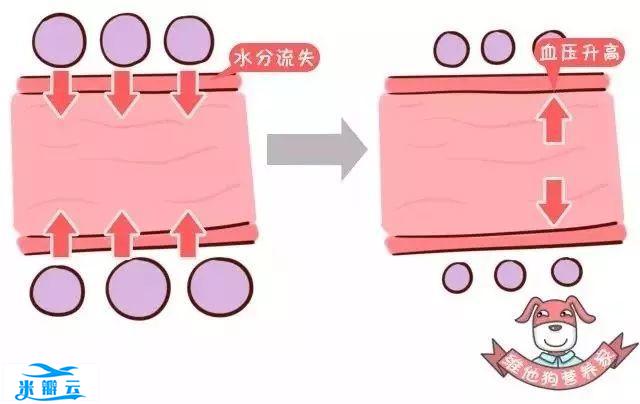 血压降不下来？看看饮食有没有做到这7点！| 全国高血压日