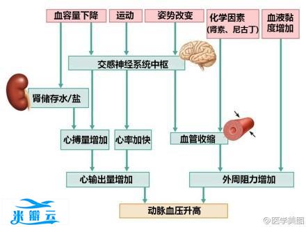 15张高血压医学美图，一文搞定高血压！