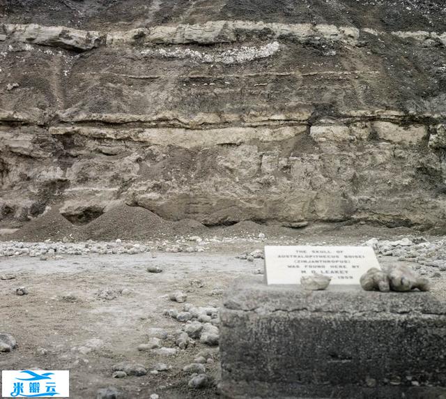 人性悖论:为何美德和暴力在人类生活中都如此显著