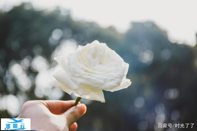 高情商女人的恋爱攻心计:凡勃伦效应 - 时光了了