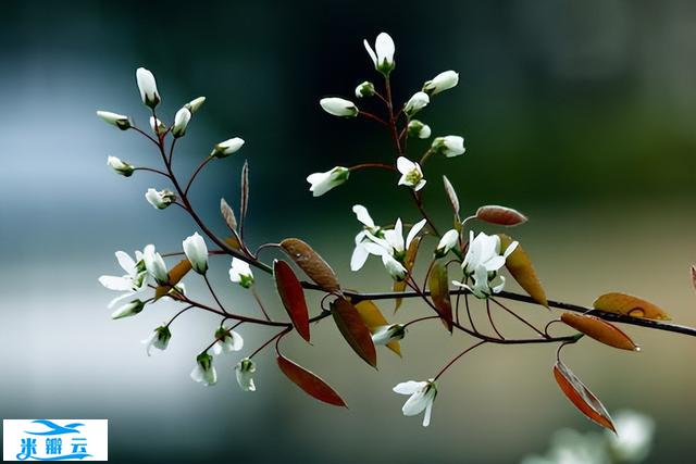 心理学:“恋爱中的马太效应”提醒你,不对等的爱情,请趁早...