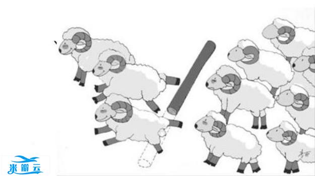 一文读懂|傻傻分不清楚的定律们到底是什么?