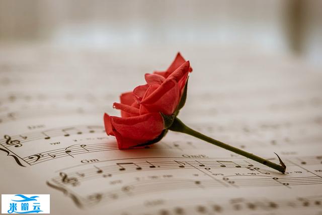 心理学:想让男人爱你入骨,你要善用&ldquo;富兰克林效应&rdquo;