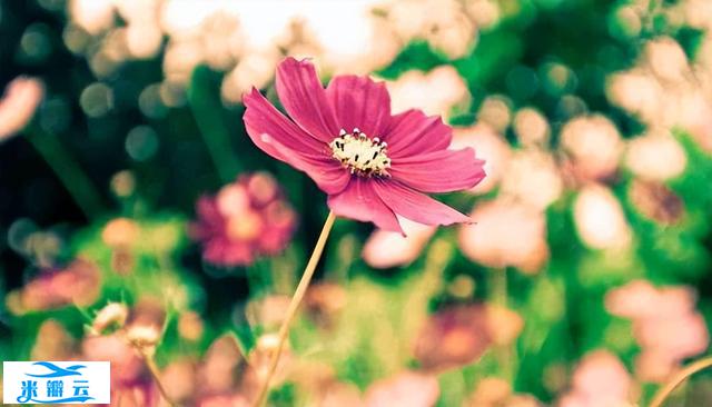 有一种聪明,叫&ldquo;暗示&rdquo;