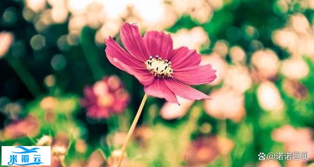 有一种聪明,叫&ldquo;暗示&rdquo;