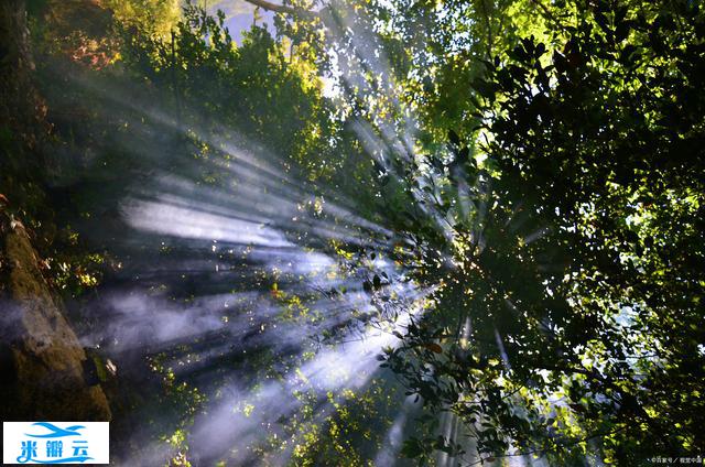 生活百科丨揭秘丁达尔效应:天空中的神秘光芒