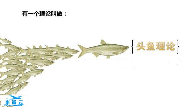 让一个人走向成功的效应:“鲦鱼效应”