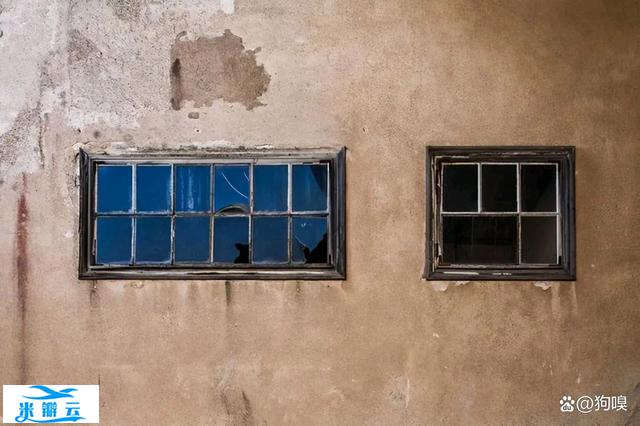 每天一个知识点～破窗效应