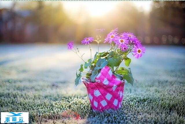 心理健康课|我的情绪我做主&mdash;&mdash;情绪ABC理论