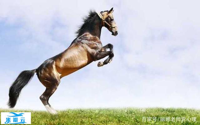 日常生活中常见的14个心理学效应,你中了几个?(上)