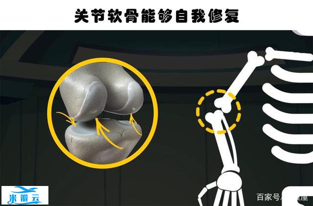 近些年来,科学家们所发现的10个关于人体的有趣事实