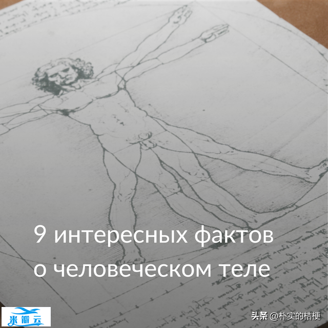 关于人体的9个有趣的事实