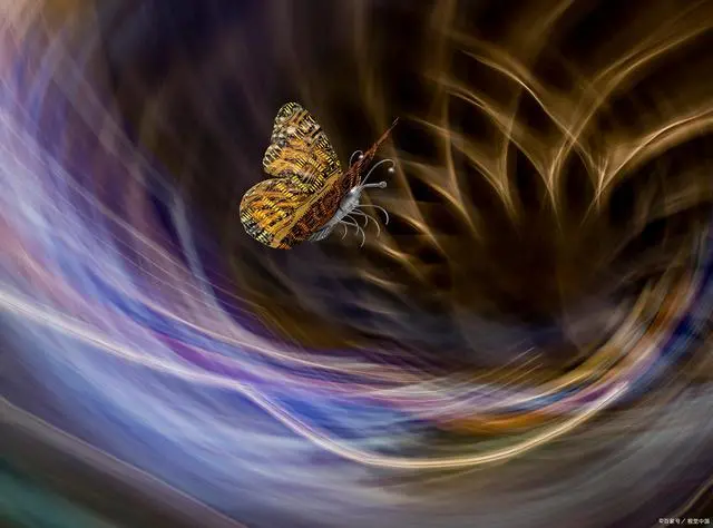 蝴蝶效应是什么?